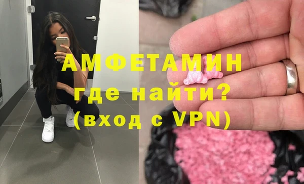 стаф Алзамай