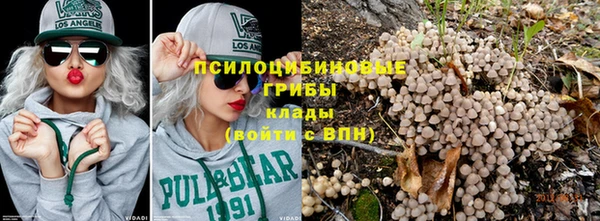 каннабис Алексеевка