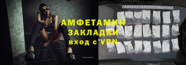 стаф Алзамай