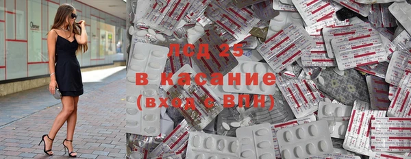 стаф Алзамай