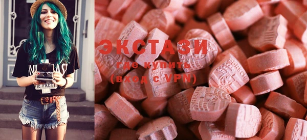 стаф Алзамай