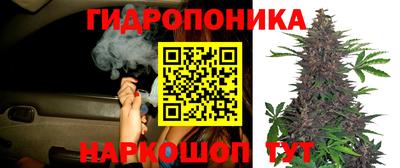 MDMA Premium VHQ Камышлов